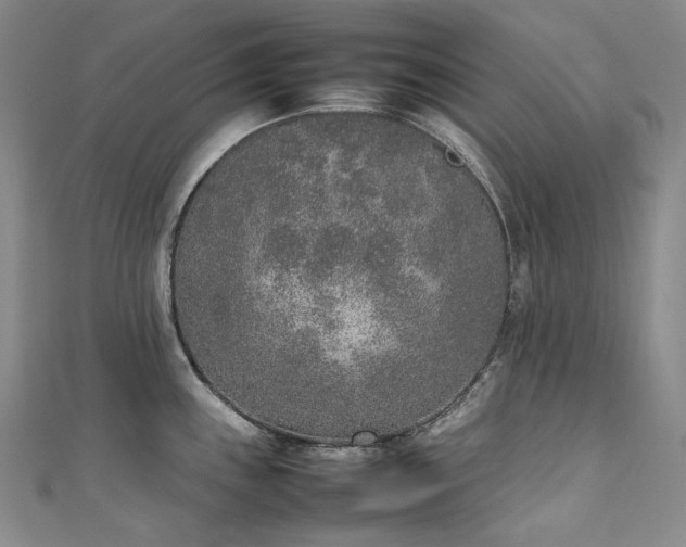 X0000111141243200906301224