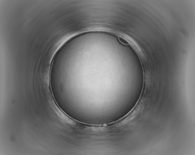 X0000111141244200906301224