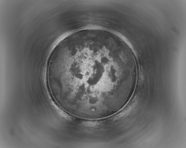 X0000111141245200906301224