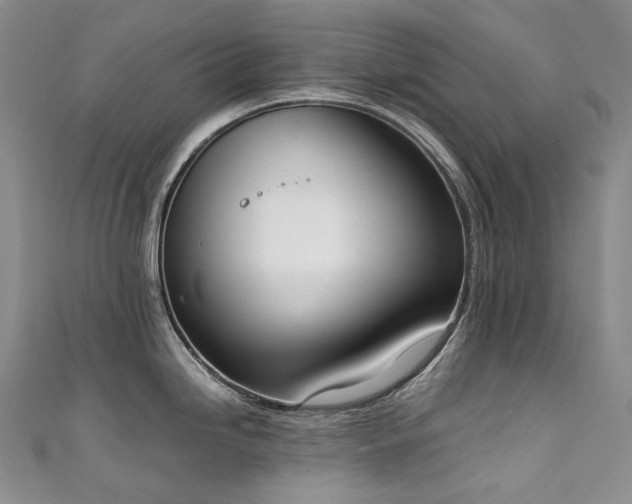 X0000111141246200906301224