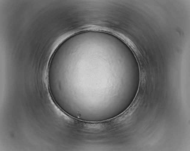 X0000111141247200906301224