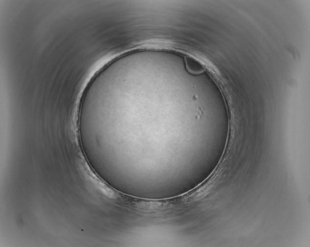 X0000111141248200906301224