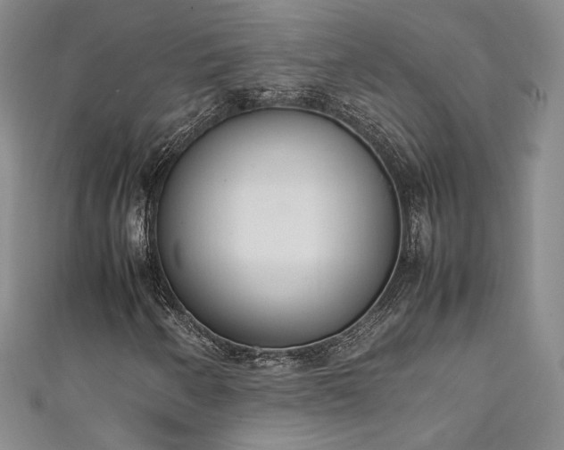 X0000111141250200906301223