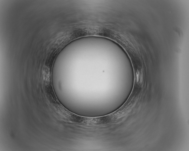X0000111141251200906301223