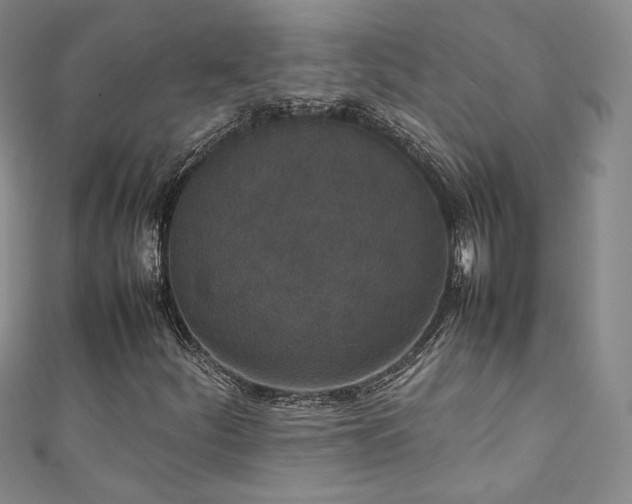 X0000111141252200906301223
