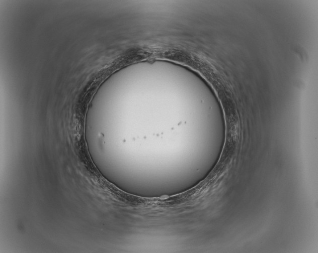 X0000111141253200906301223