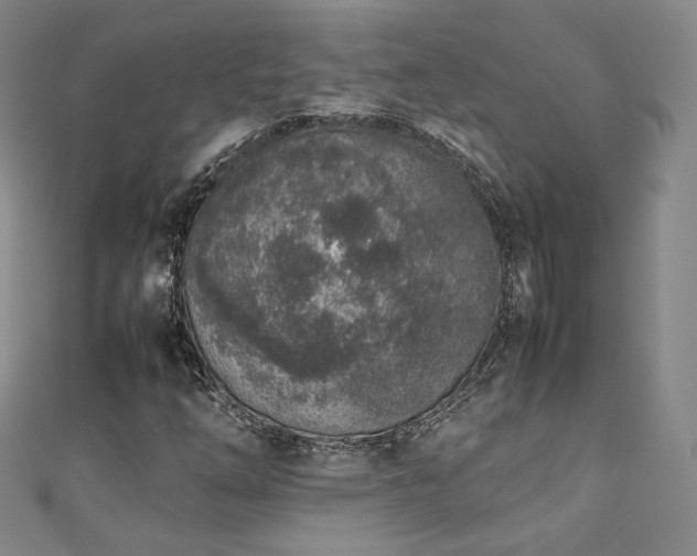X0000111141254200906301223