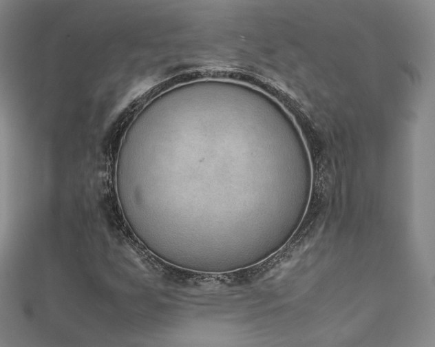 X0000111141255200906301223