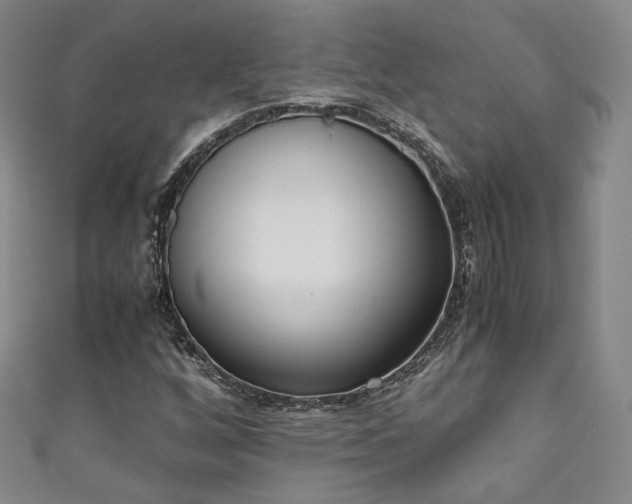 X0000111141256200906301223
