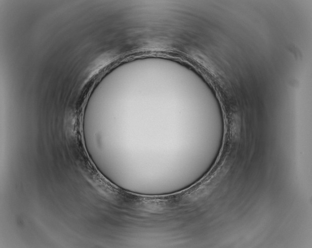X0000111141258200906301223
