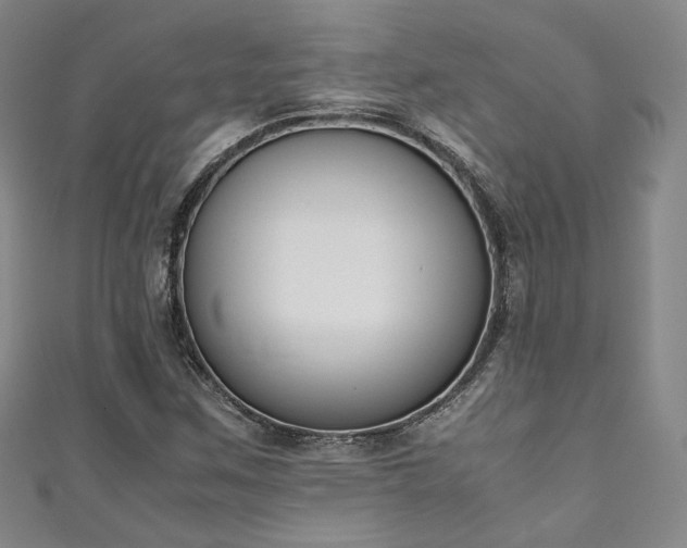 X0000111141259200906301223