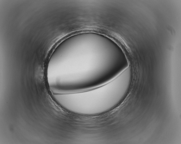 X0000111141260200906301223