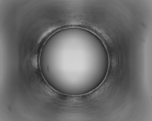X0000111141262200906301223