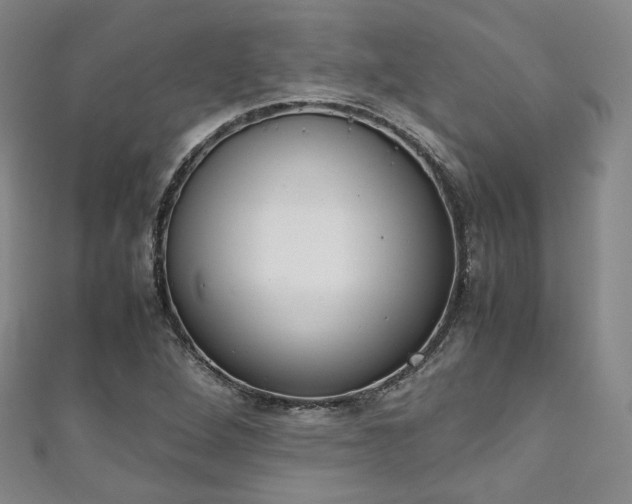 X0000111141264200906301223
