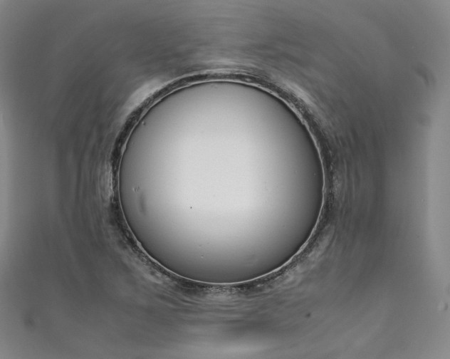 X0000111141267200906301223