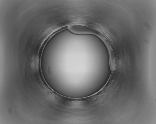 X0000111141268200906301223