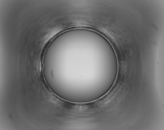 X0000111141269200906301223