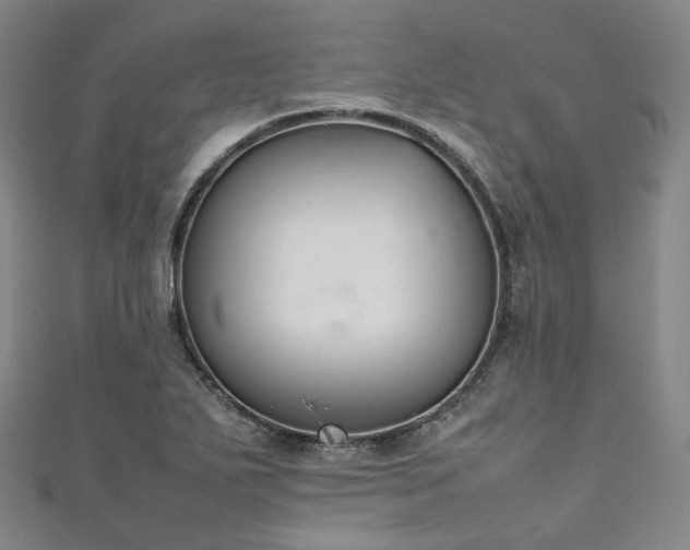 X0000111141271200906301223