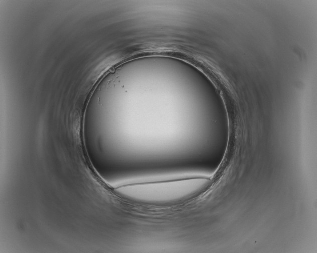 X0000111141273200906301223