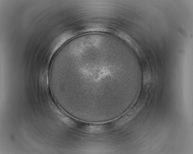 X0000111141274200906301223