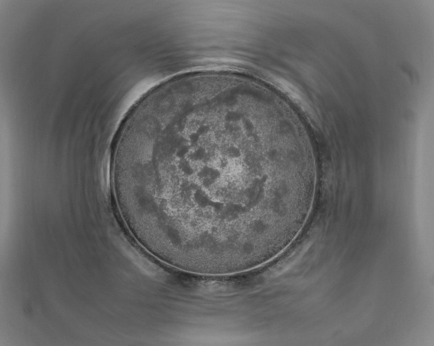 X0000111141275200906301223