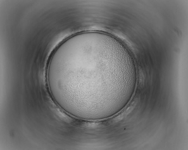 X0000111141278200906301223