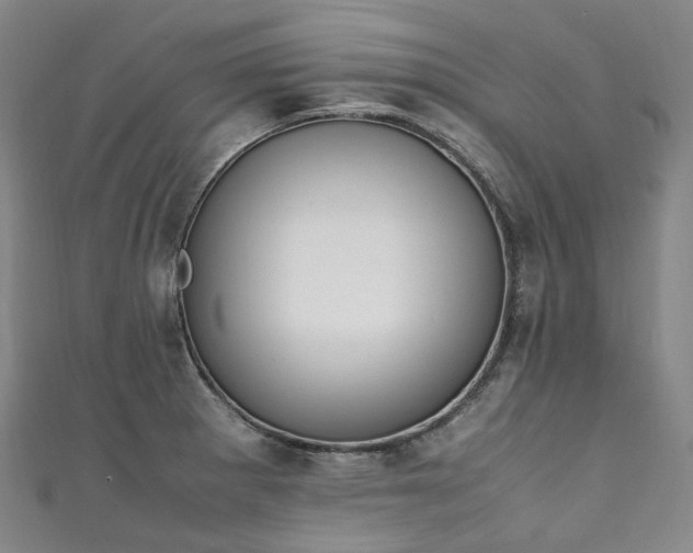 X0000111141281200906301223