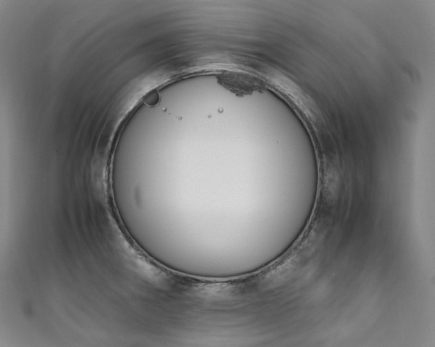 X0000111141282200906301223