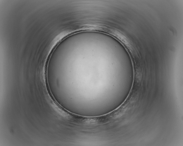 X0000111141283200906301223