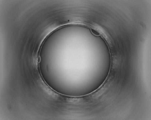X0000111141284200906301223