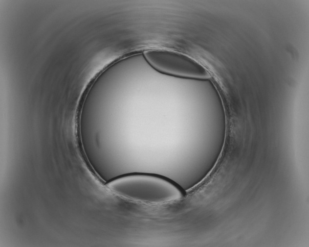 X0000111141285200906301223