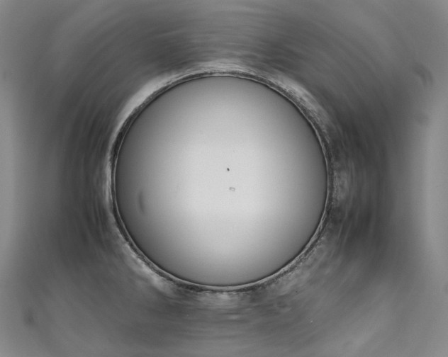 X0000111141286200906301223