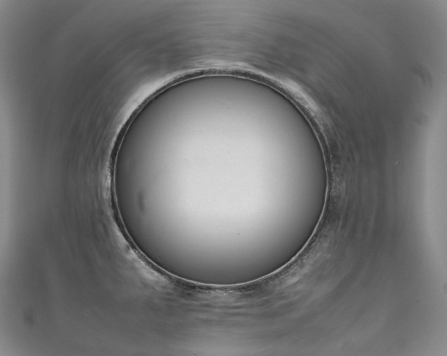 X0000111141287200906301223