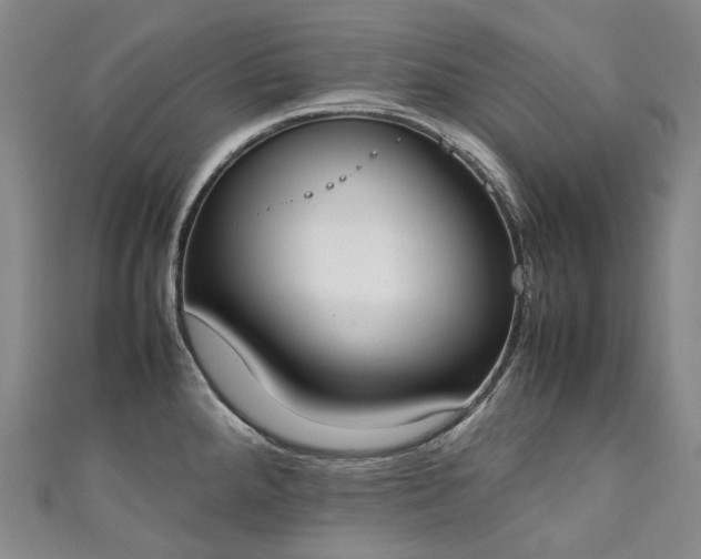 X0000111141288200906301223