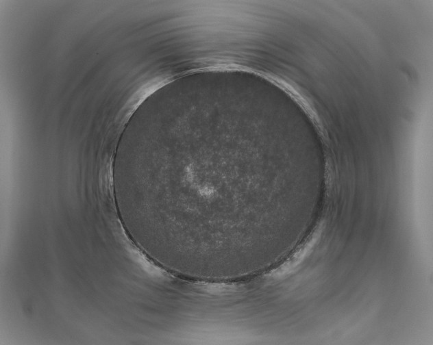 X0000111141289200906301223