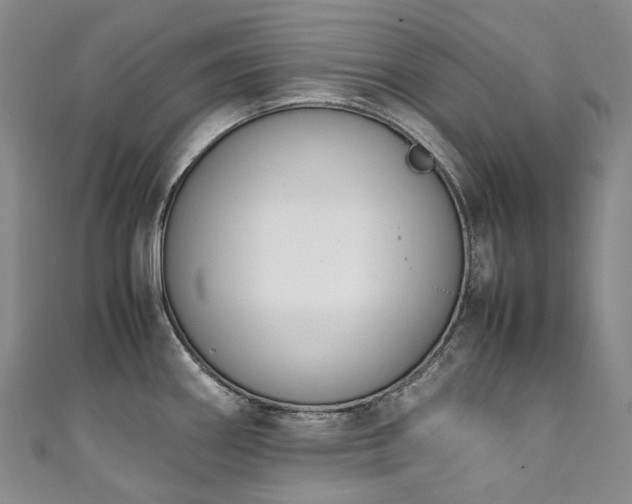 X0000111141290200906301223
