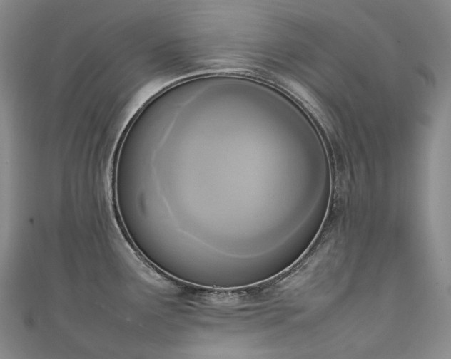 X0000111141291200906301223