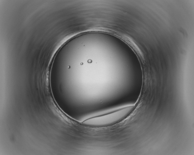 X0000111141292200906301223