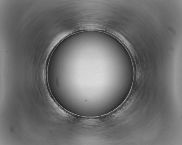 X0000111141293200906301223