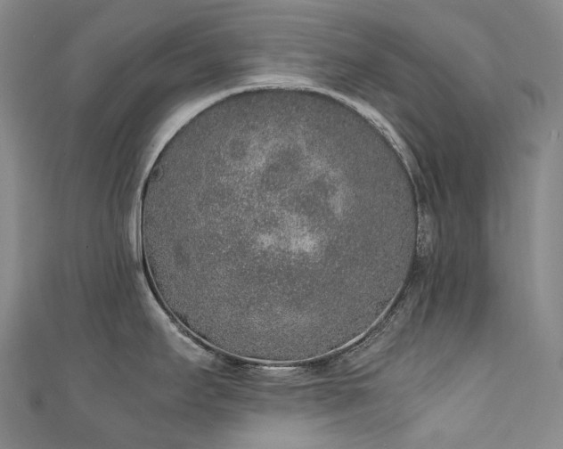 X0000111141295200906301223