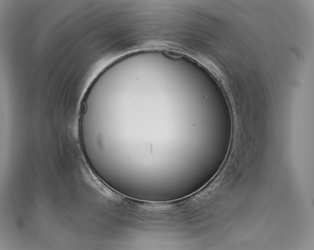 X0000111141296200906301223