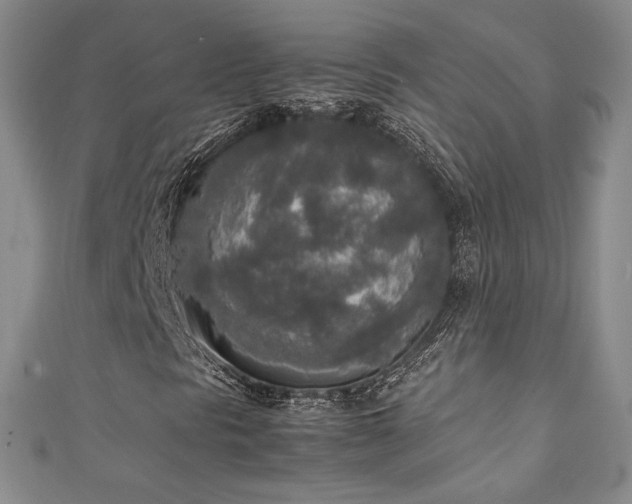 X0000111141297200906301222