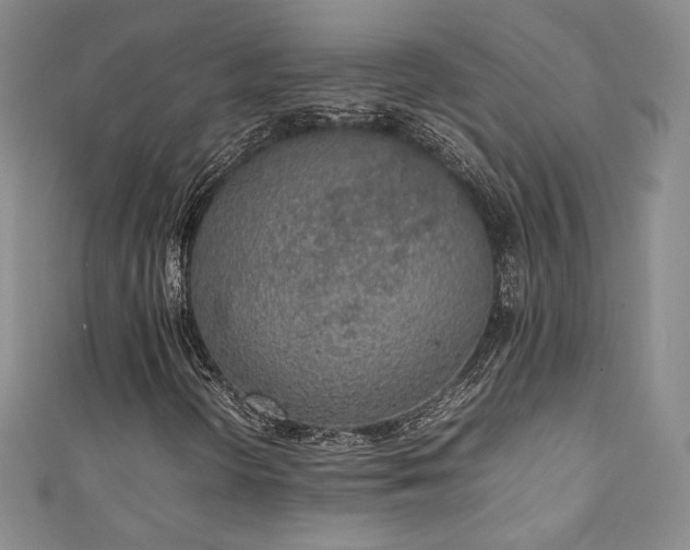 X0000111141298200906301222
