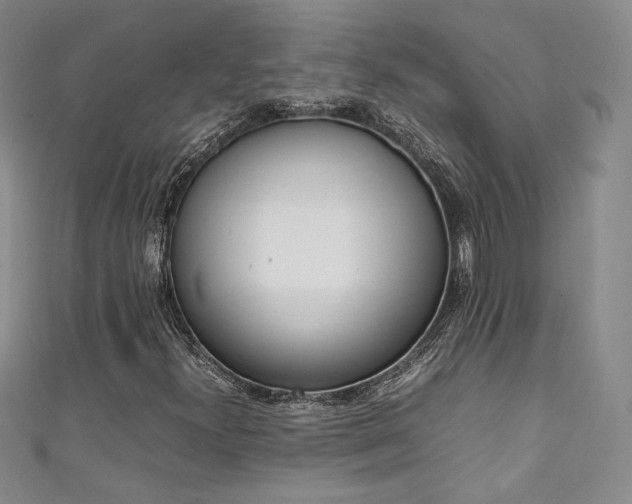 X0000111141300200906301222