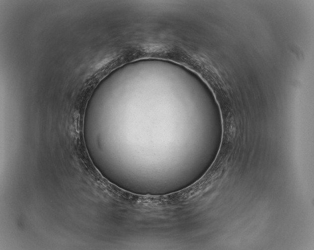 X0000111141301200906301222