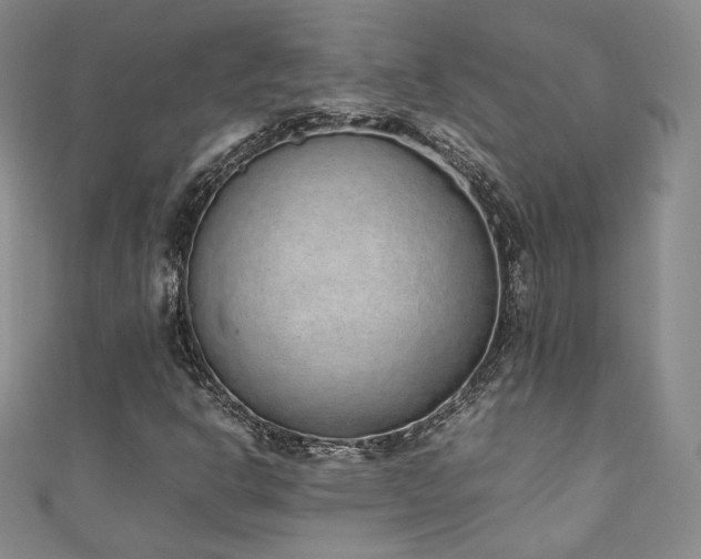 X0000111141302200906301222