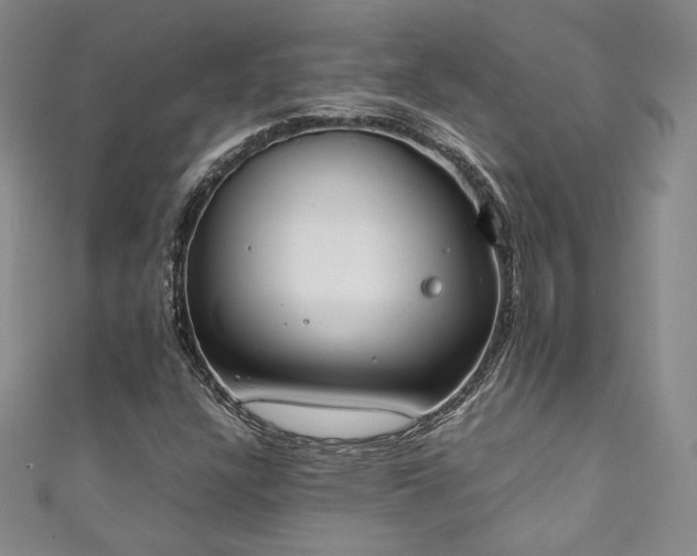X0000111141304200906301222