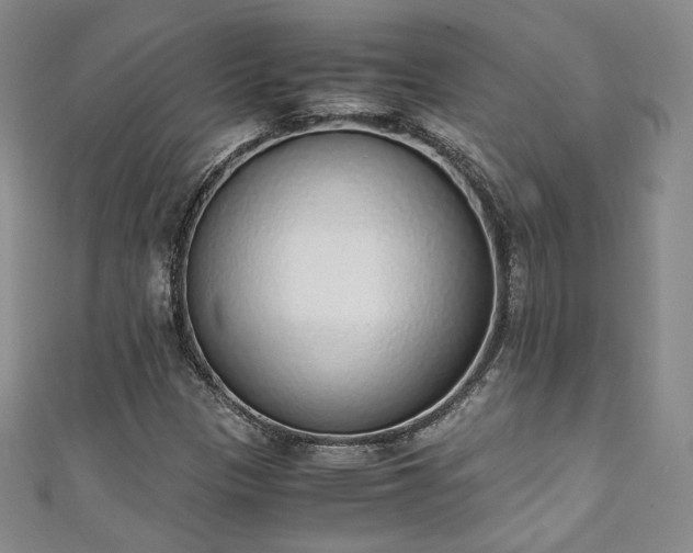 X0000111141305200906301222