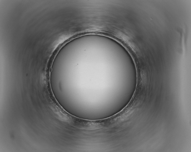 X0000111141308200906301222