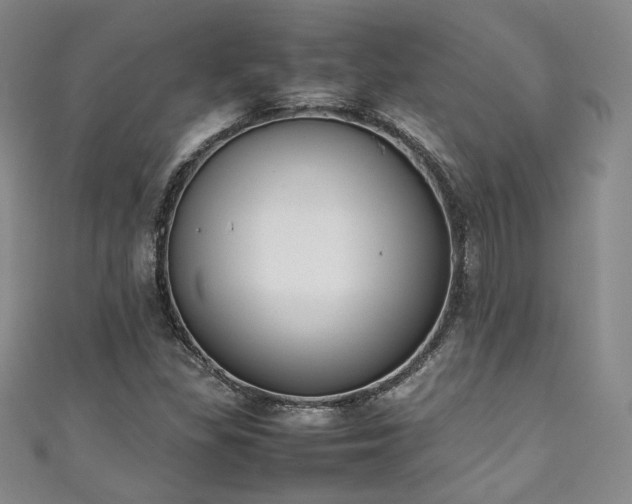 X0000111141309200906301222